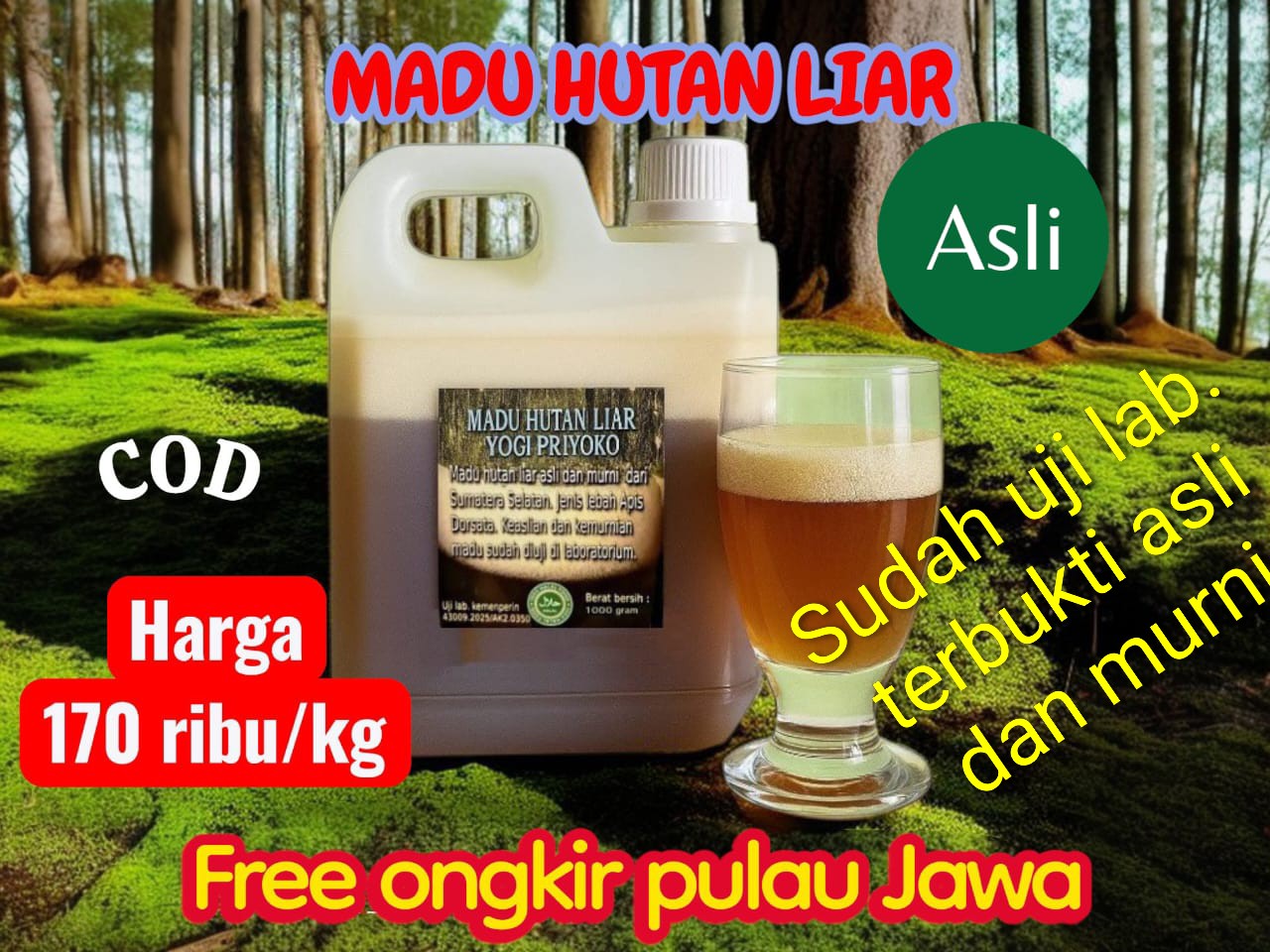 Madu Hutan Liar Yogi Priyoko